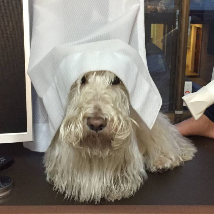 461559ec facc 4d65 90ab 5a3d499e29b9