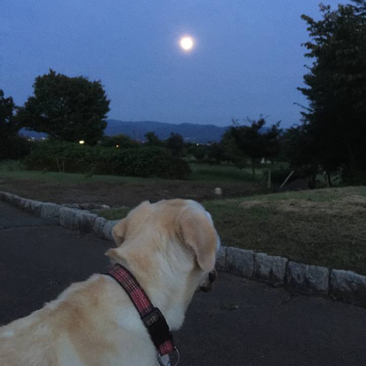 46168741 5815 4f72 8bb9 d8c9bea9426c