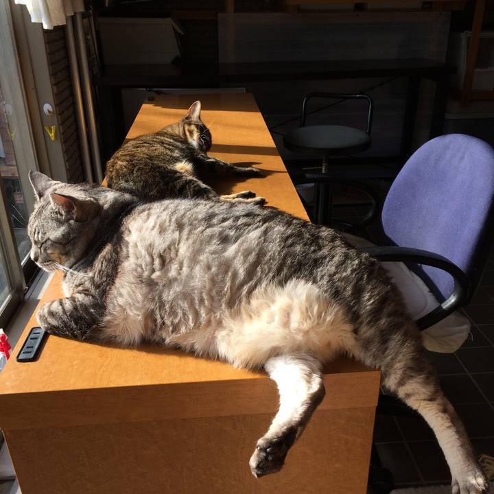 4616d995 4ad1 40f3 bf31 d83159fe135d