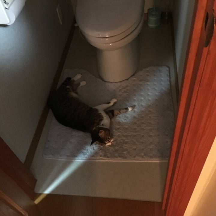 46170ede 7c27 4e64 865e b91b69b553ea