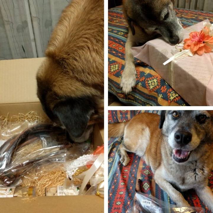 46174e3f 5c60 4a6b bad1 12cc4ea80be4