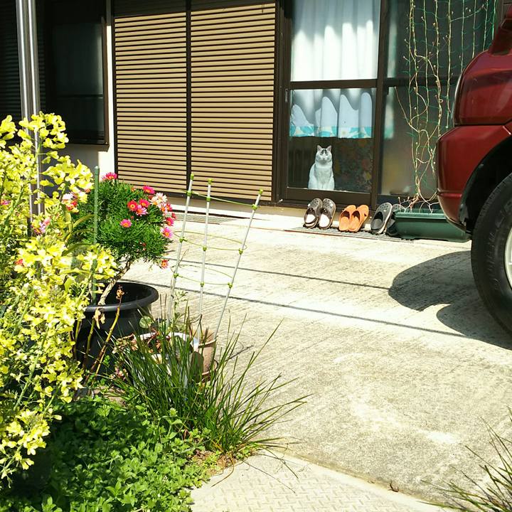 46176a50 4b57 4243 af63 cfd5d01961c9