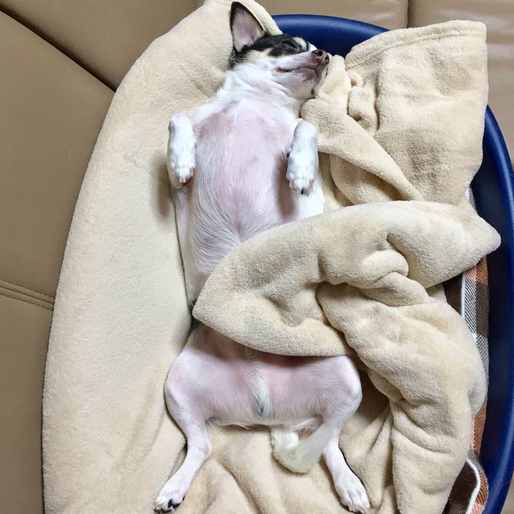 46176e74 f91e 49f6 b417 92d54f1a3579