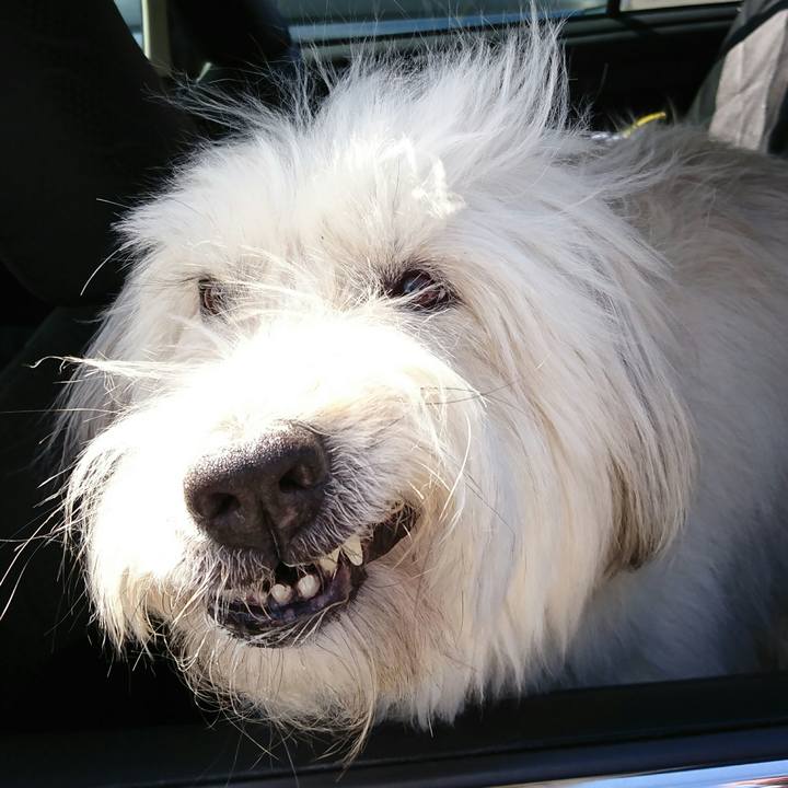 46179df2 c5dd 4941 aad0 b9faa05c9829