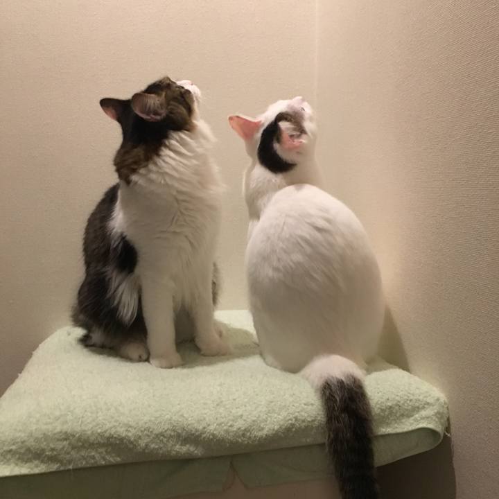 4617d801 d1ef 45e1 a7e8 a84af3e05b6e