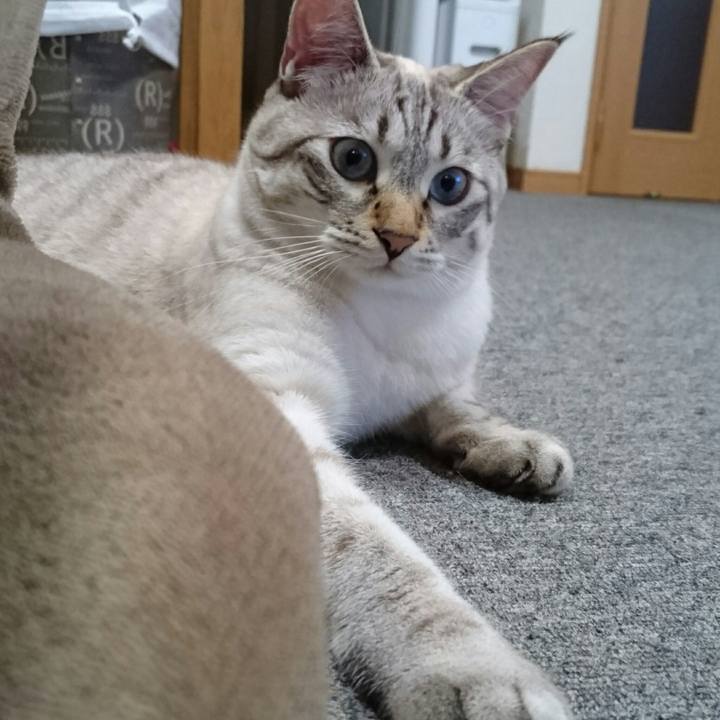 46187456 103a 4b24 b4d3 707bf76f39c3