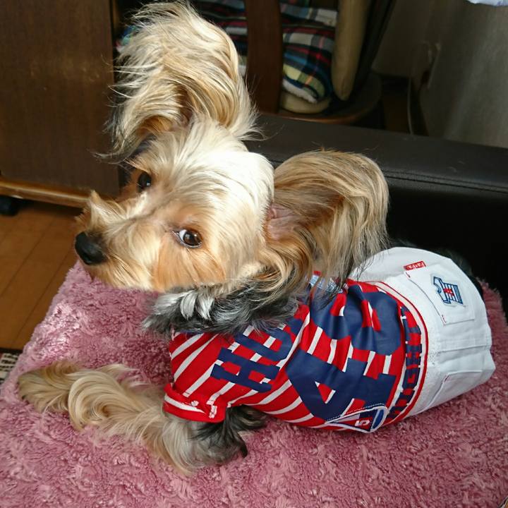 4618823c 0c72 4b70 b9a4 6054deeae013