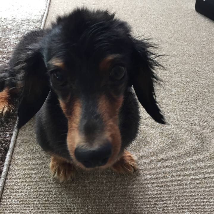 461962b9 4599 4d53 b7dd 733ed353bb6a