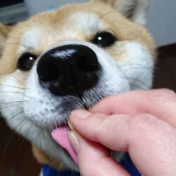 461992c4 9756 4b28 ba64 916f2da7a607