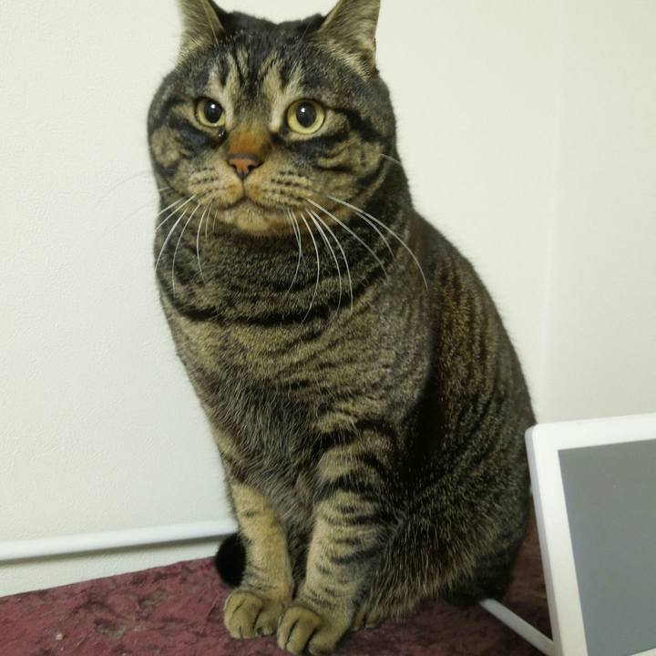 461a8020 9263 4db8 a84d e34b285a1f47