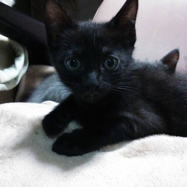 461ab87f 1de0 453d ad4f 7f2c4f51d856