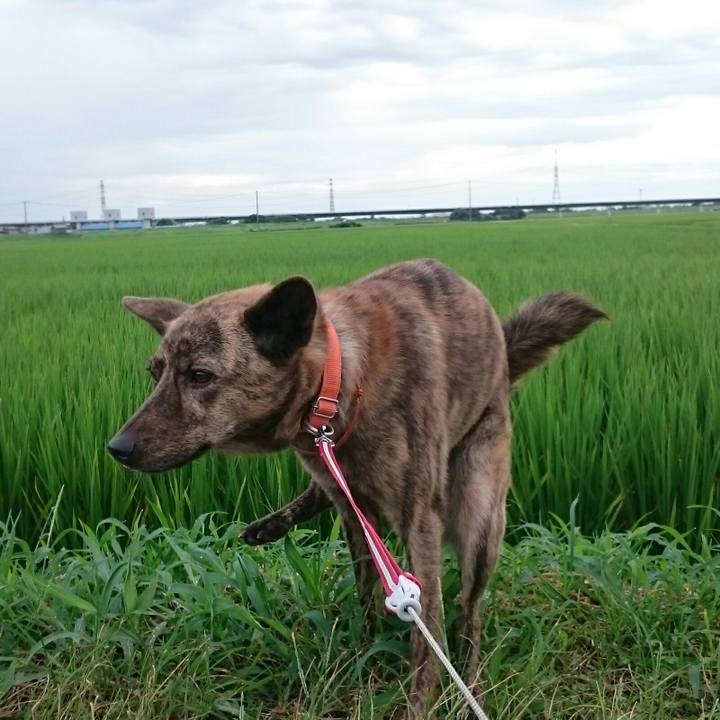 461ad592 13a0 417b 9457 2c5d07140829