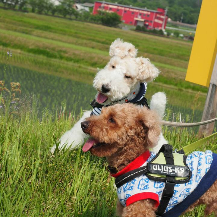 461bc110 d855 4570 8ec6 293c197ec25d