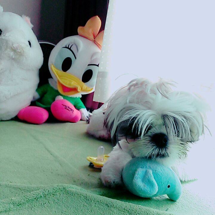 461c4247 b959 49b4 b85f e2fe30fb6e10