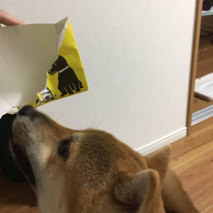 461c7db9 a617 4106 8b31 b7d88c0160e1