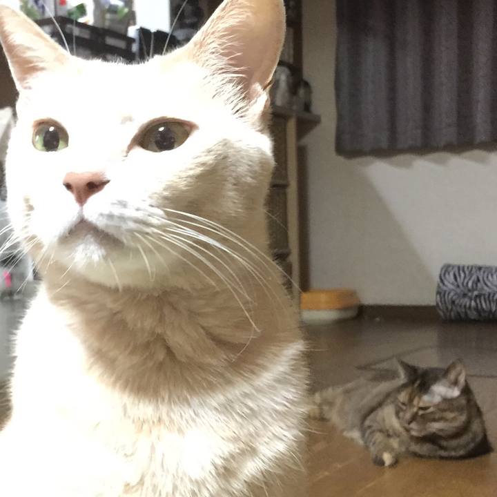 461c871e 0348 4e15 aa57 90174cd53679