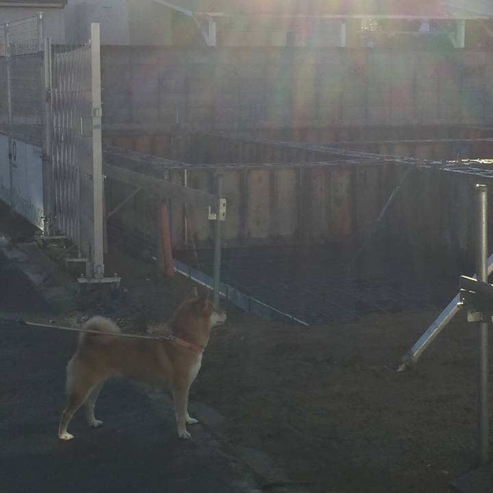 461c8a95 c271 45df 8d8d 0e1b81ea9152