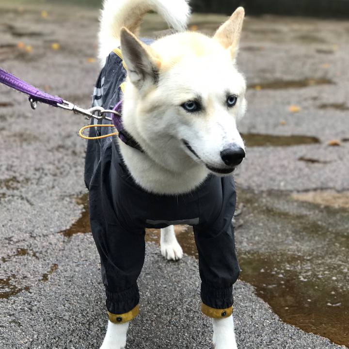 461cf76f d419 4d54 ad12 054e8dfd69bc