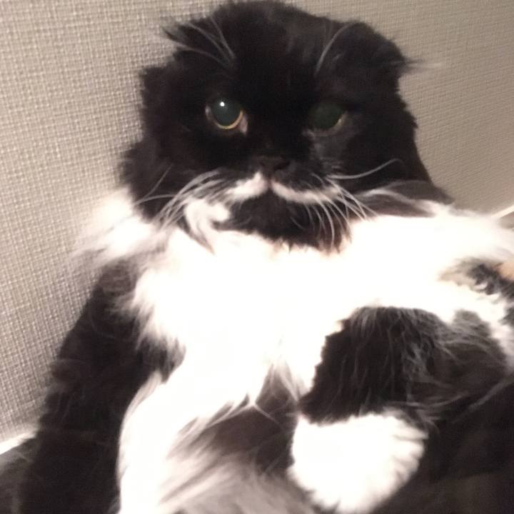 461d5603 02ad 4c1c 943e c52e3961264e