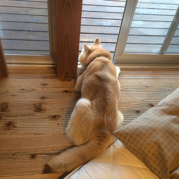 461d9cc8 c32d 4bb0 93de 8b94adf350f0