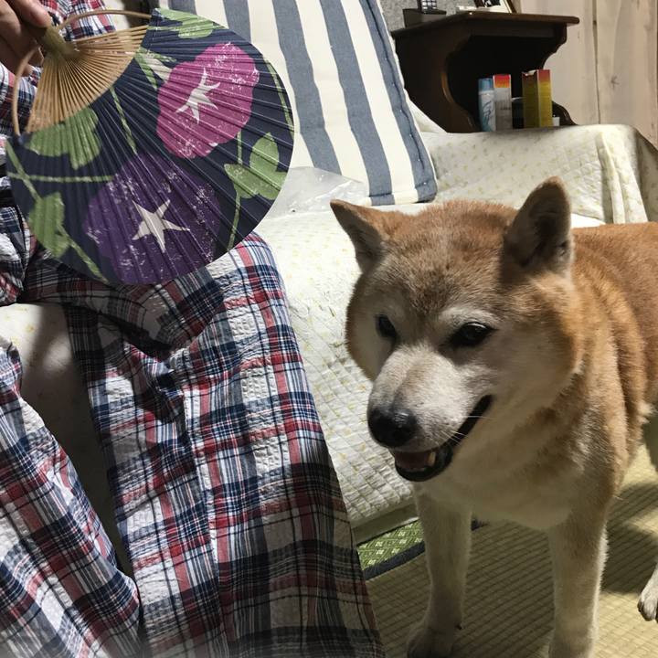 461db045 1951 44f2 932a 2a3ee547ccbc