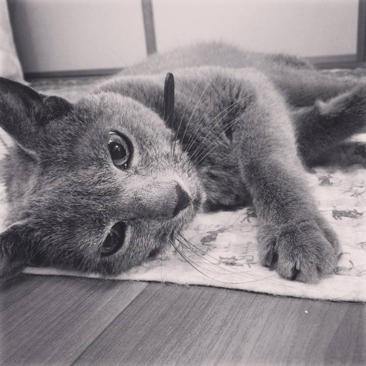 461e0baa d0a9 4322 bb02 71e2b483c52c