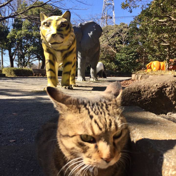 461e2ff0 020f 4f2e 9330 e7f667e2b5be