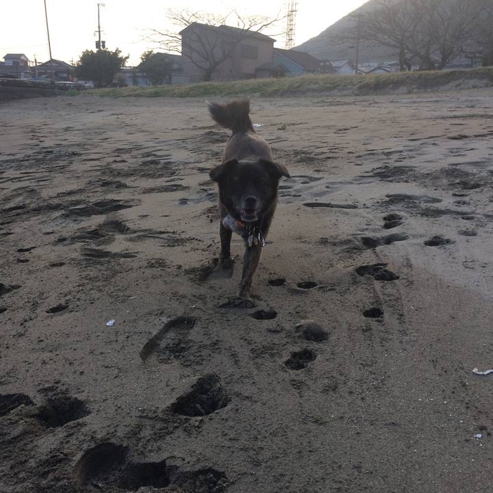 461e64b4 79a8 44b9 9b59 f45c198af652