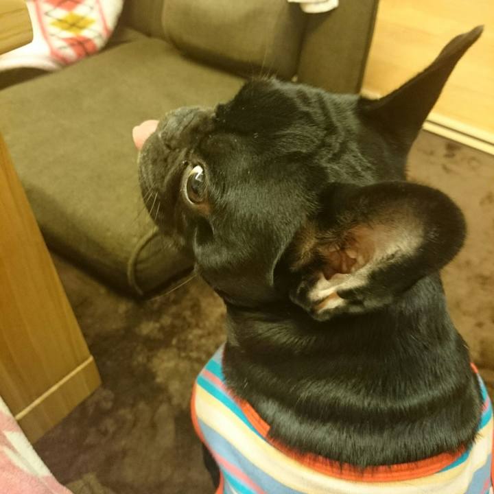 461ebccf 7fd0 45ca aeee 35fd7f9070c7