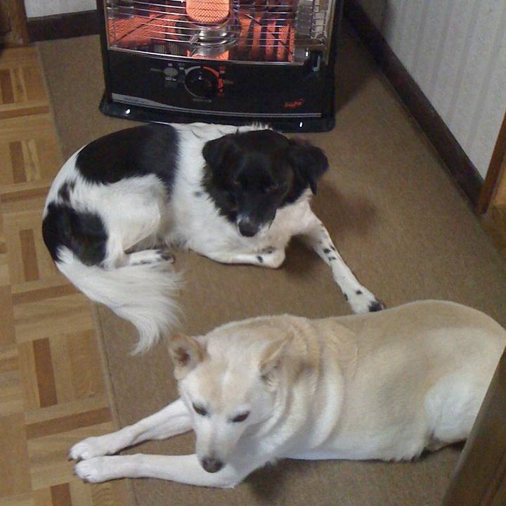 461efc10 92a8 459b 98fb 0dae7104ffc5