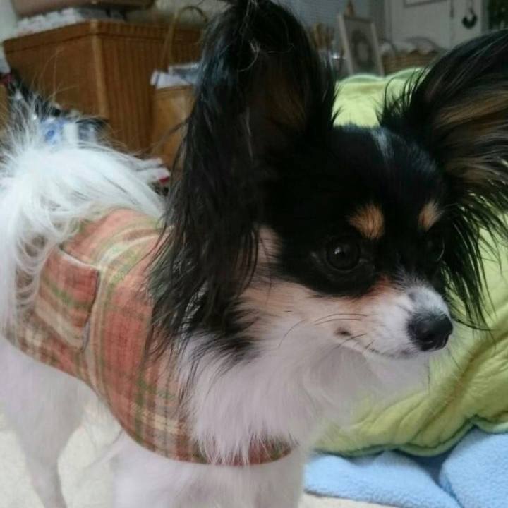 461f7333 bbb9 4b01 bda8 eb93c469e903