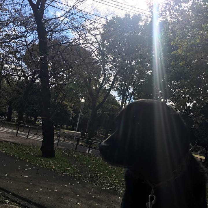 46206afa 12ed 4e15 85ef c9e9f909d63a