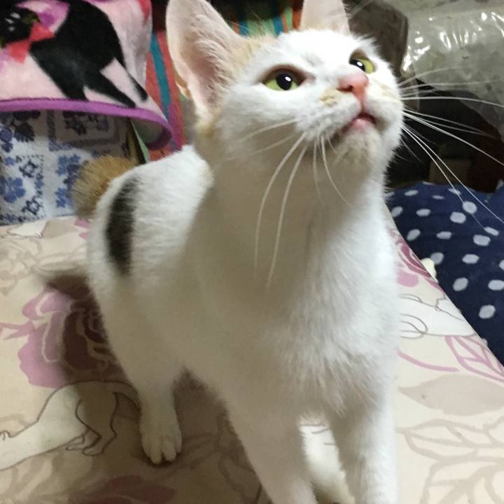 46208e66 75e6 4fb9 a0b1 2c5f9deb2229