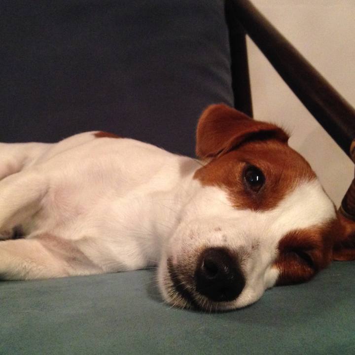 46211986 42d7 407b 906f 6e3fbc0ed3be