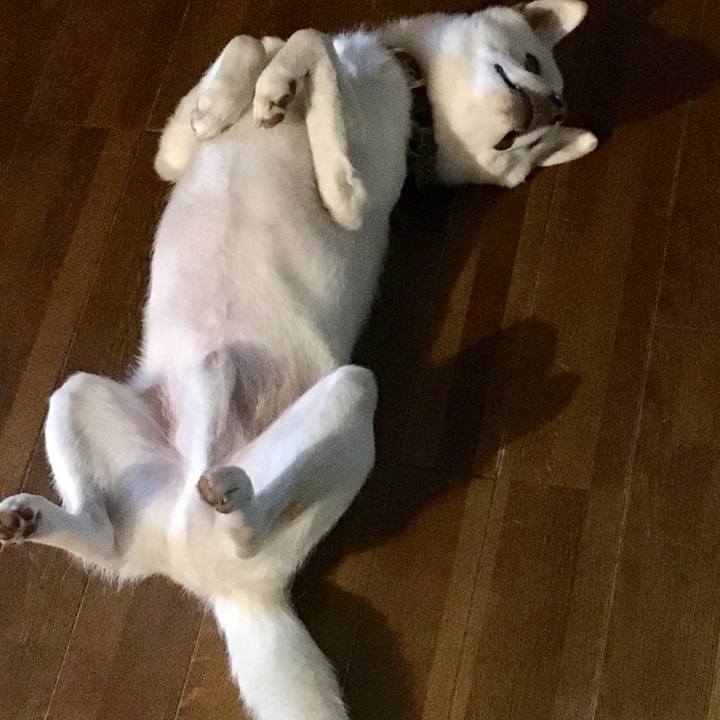 4621e291 4d63 4411 afb2 b28859cd65d6