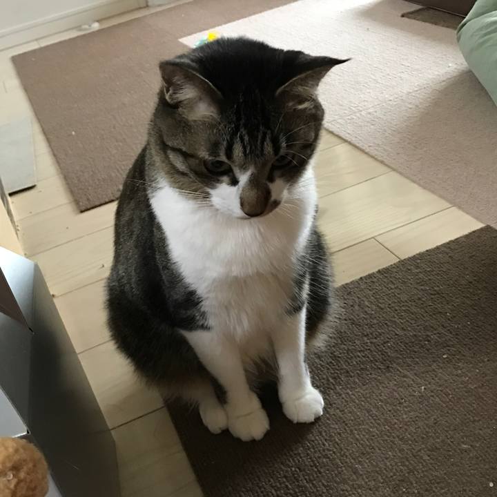 46223146 14a0 437c 8b6e 5dafc8c32491