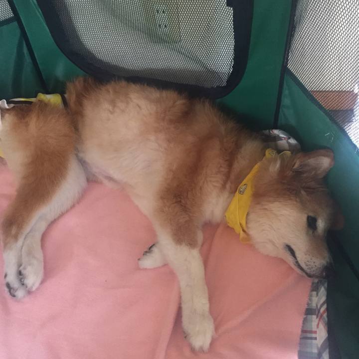 462255be 701b 4772 a1c0 b35204122170