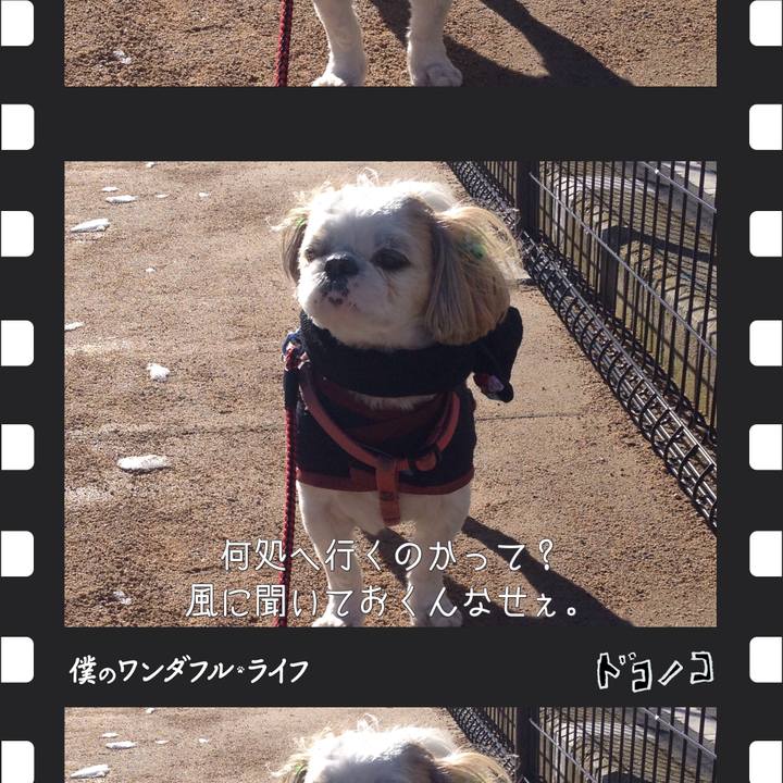 46225861 a68b 4b8f ad2c fadd56ccaef2