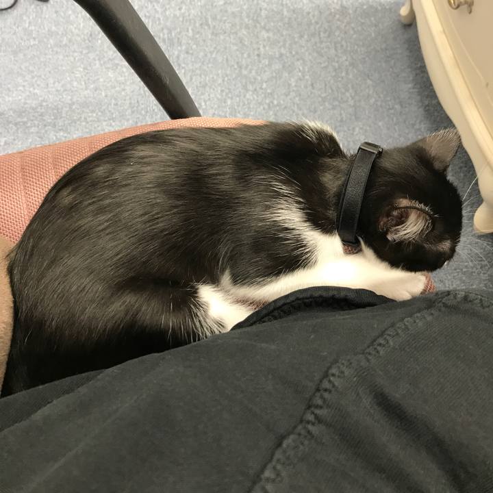 46225865 ab50 4bdc 9881 29167e72e5ba