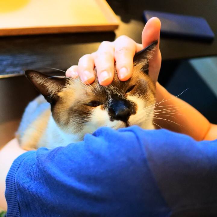 462293a2 bc22 4680 875d 660fcda767dd