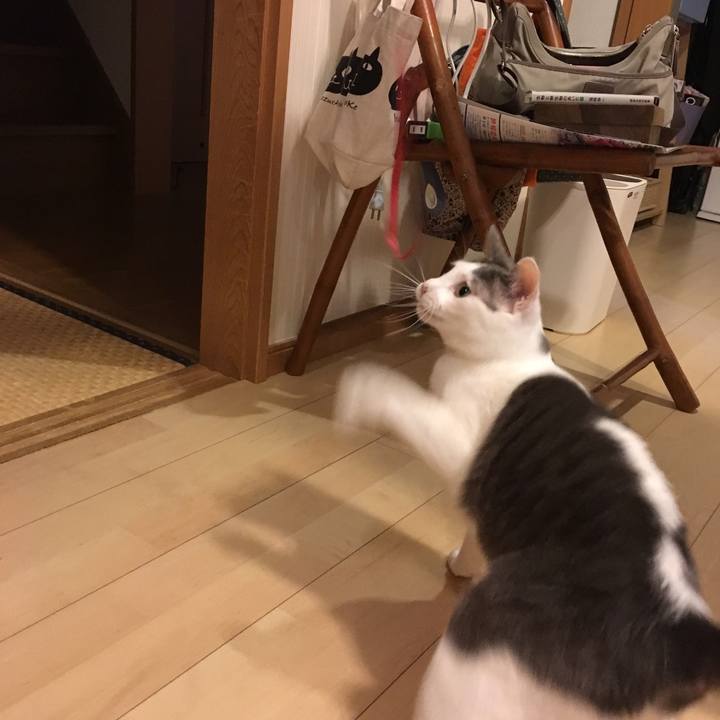 4622a5c2 dbe5 4c4b a8e1 ac401ef59e4d