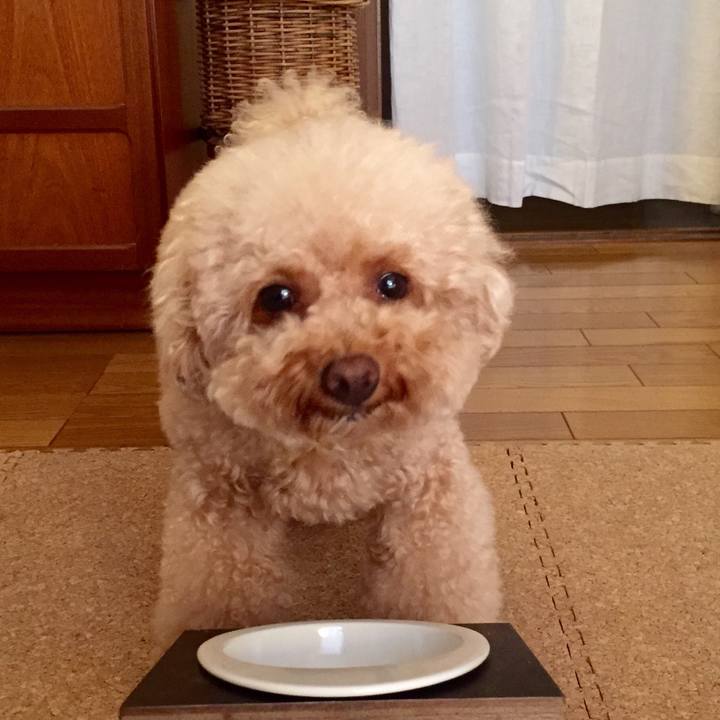 4622cd1f e923 4477 b5b4 7240eb9a4377