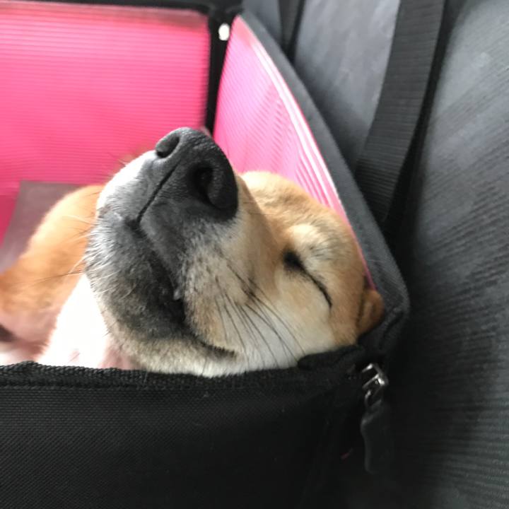 4622fe9c a28b 48cc a5da ca617c756500