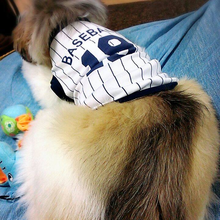 46230a52 4091 41c6 8879 1a9fa24d7232