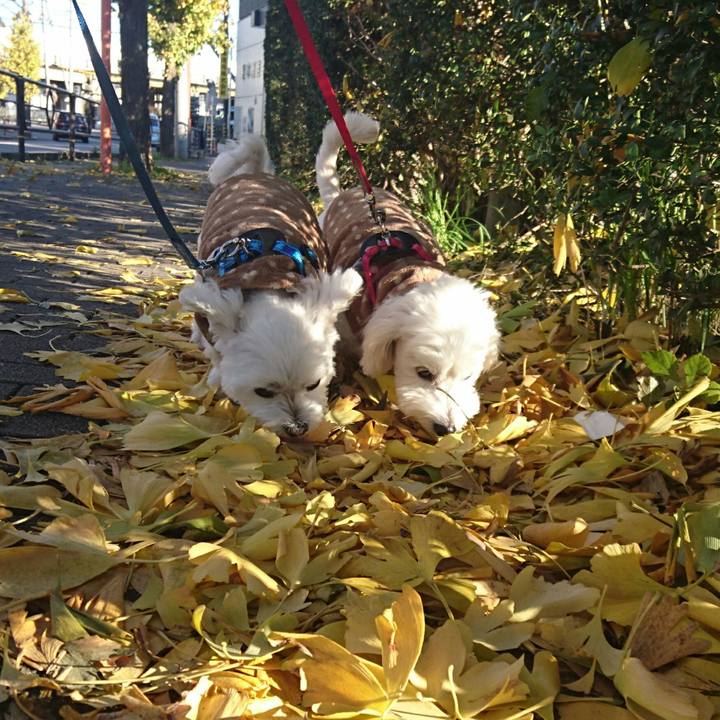 46234465 645f 4434 af93 d08be0ee0514