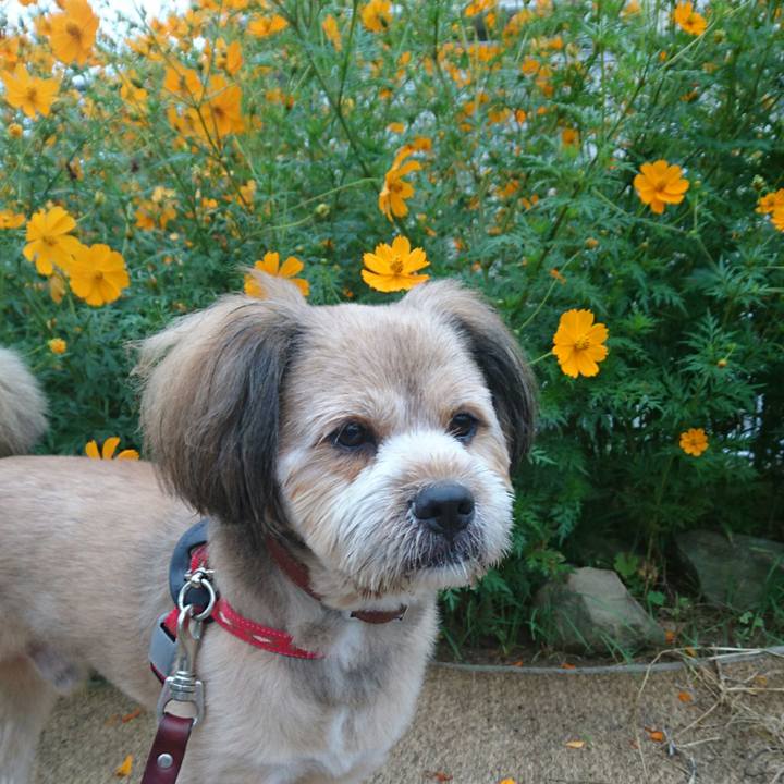 4623539d fc33 493f 9ea2 6f1680b04c74