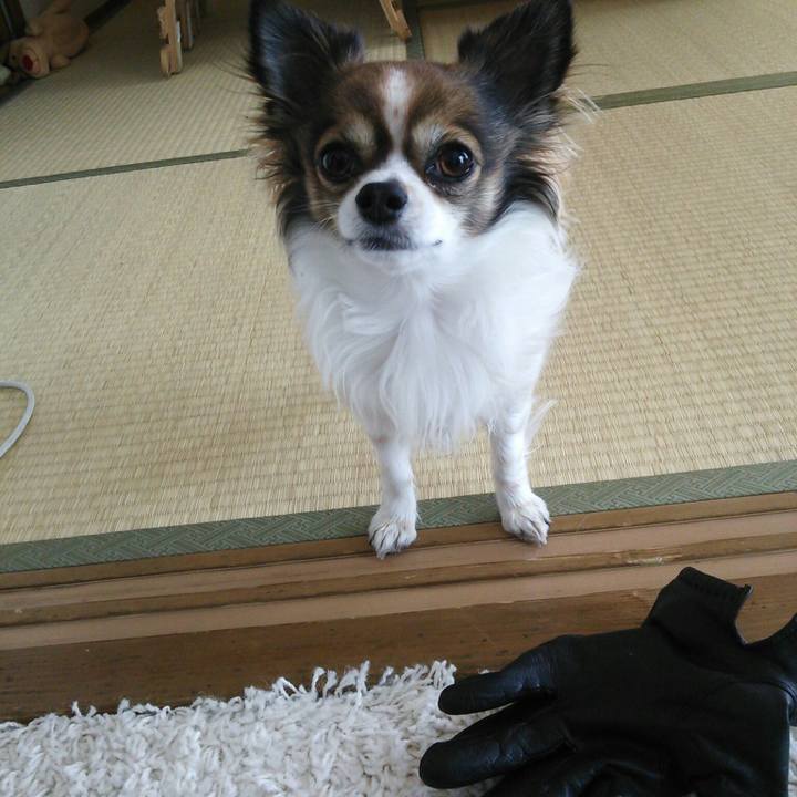 46238c08 2c21 4228 a6e8 87f54c612b37