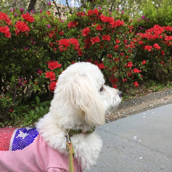 4623a3f0 033a 473c 8c61 8fa8712a7f4c