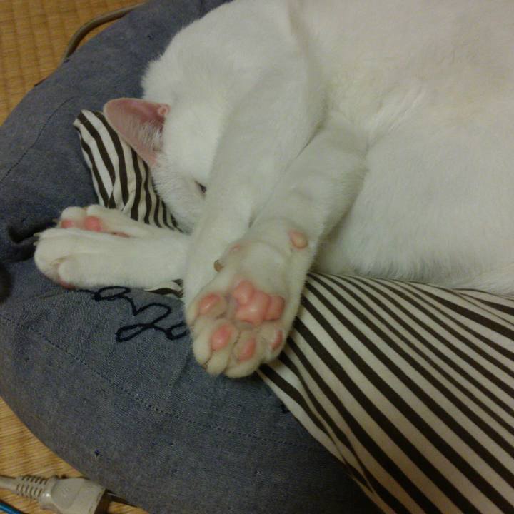 4623d2f9 ae0e 43b2 965e 00a7edb0cc73