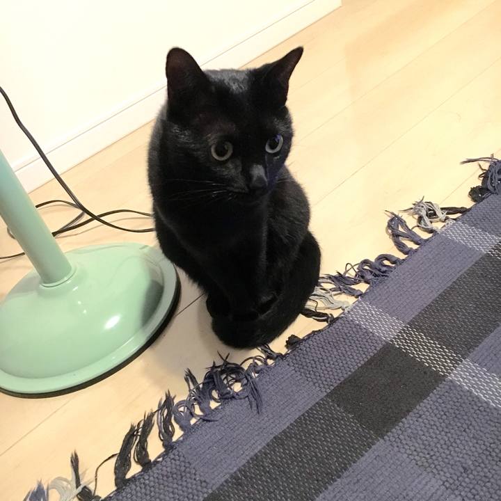 4623de7b 1afc 4686 b736 872a05ca923c